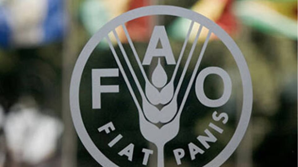 FAO_logo1