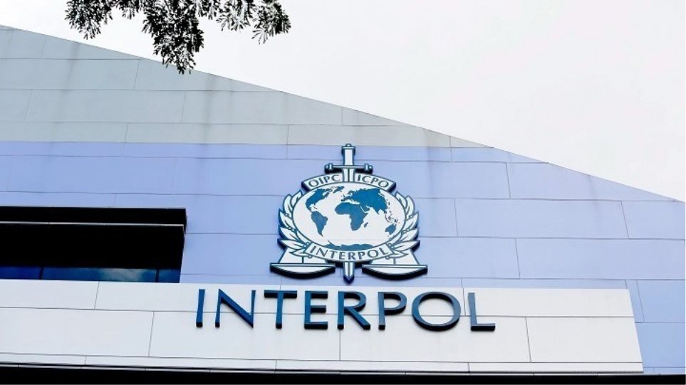 INTERPOL_ape